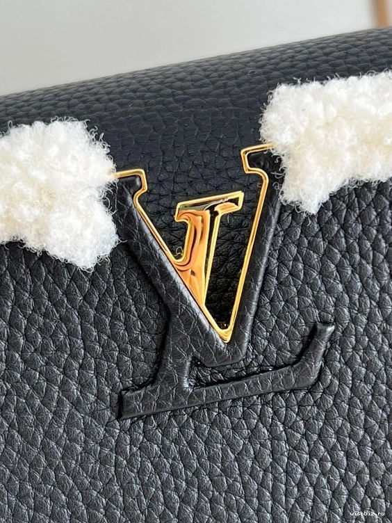 WIS VUITTON CAPUCINES LOUIS BB 0213